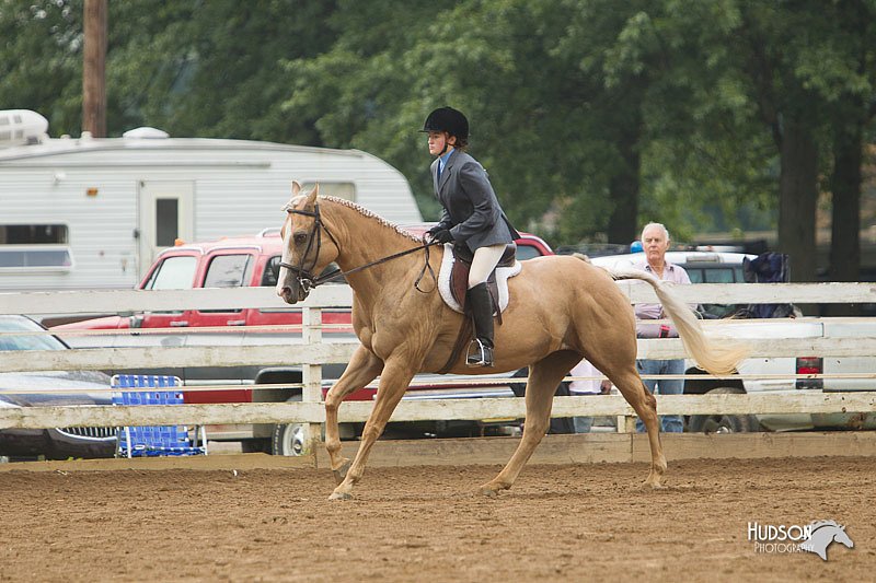 4H-Districts-11_1468.jpg