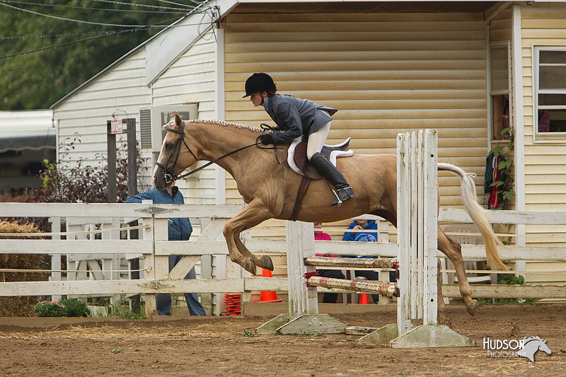 4H-Districts-11_1469.jpg