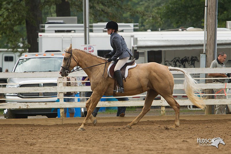 4H-Districts-11_1470.jpg