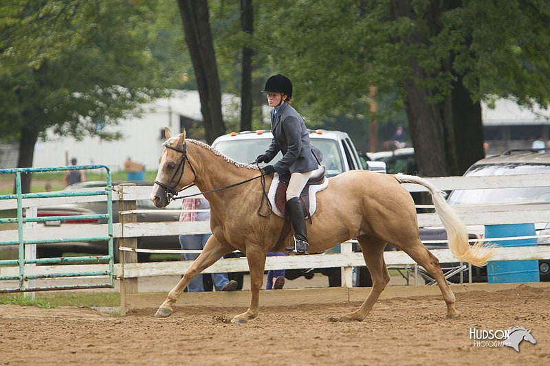 4H-Districts-11_1471.jpg