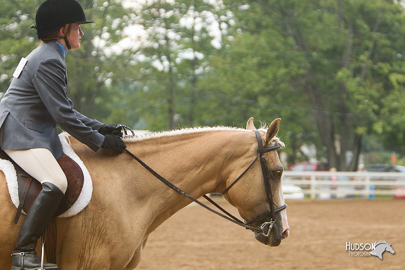 4H-Districts-11_1476.jpg