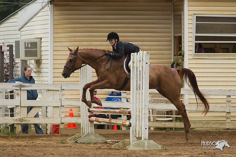 4H-Districts-11_1478.jpg