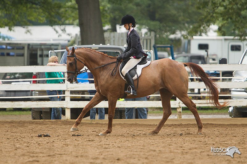 4H-Districts-11_1479.jpg