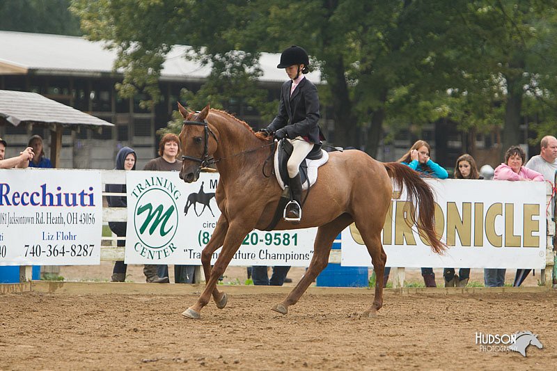 4H-Districts-11_1481.jpg