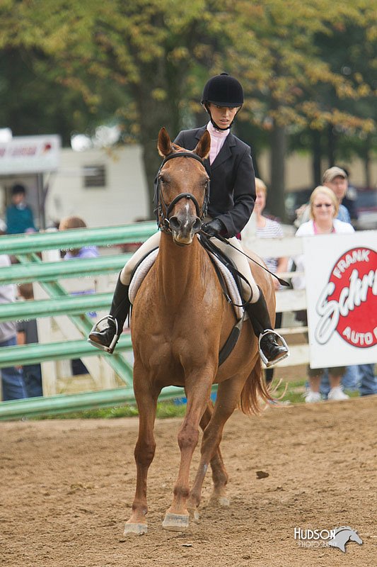 4H-Districts-11_1482.jpg