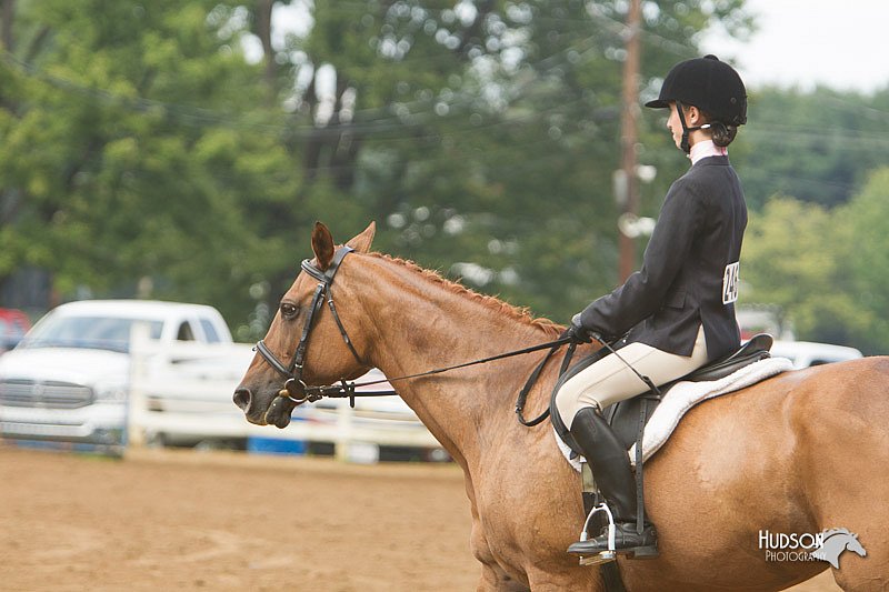 4H-Districts-11_1484.jpg