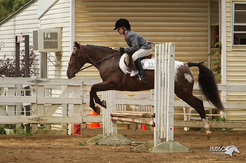4H-Districts-11_1486.jpg