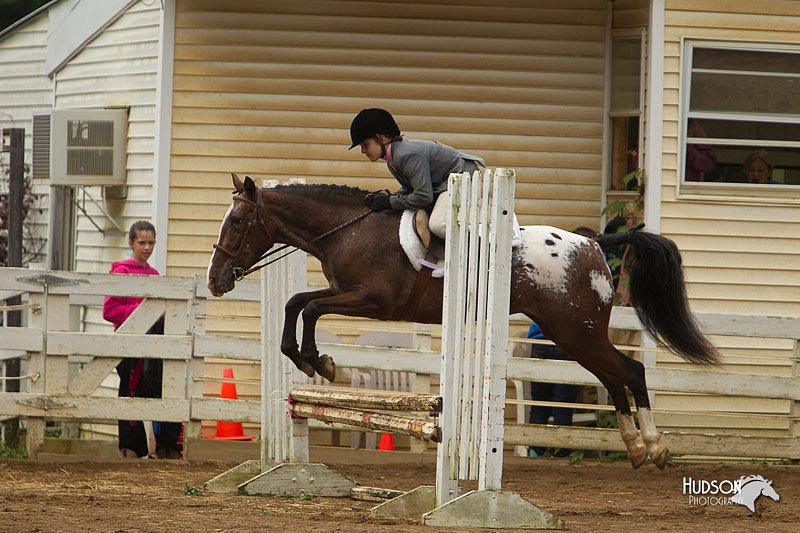 4H-Districts-11_1487.jpg