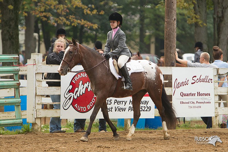 4H-Districts-11_1490.jpg