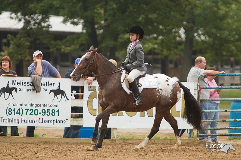 4H-Districts-11_1492.jpg