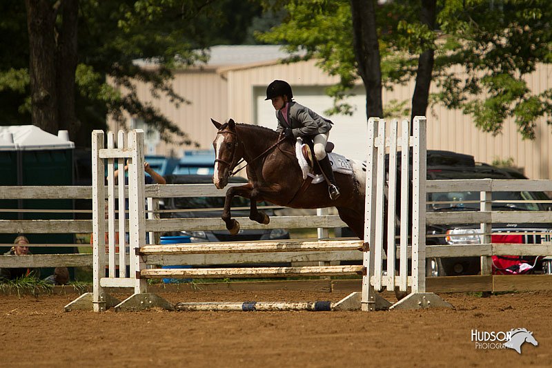 4H-Districts-11_1493.jpg