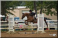4H-Districts-11_1477.jpg