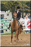 4H-Districts-11_1482.jpg