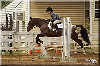 4H-Districts-11_1486.jpg
