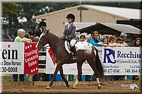 4H-Districts-11_1489.jpg
