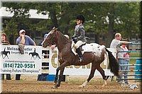 4H-Districts-11_1492.jpg