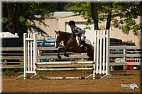 4H-Districts-11_1493.jpg