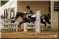 4H-Districts-11_1495.jpg
