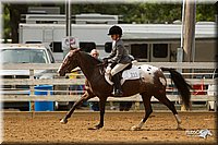 4H-Districts-11_1496.jpg