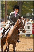 4H-Districts-11_1499.jpg