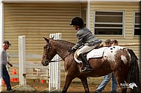 4H-Districts-11_1500.jpg