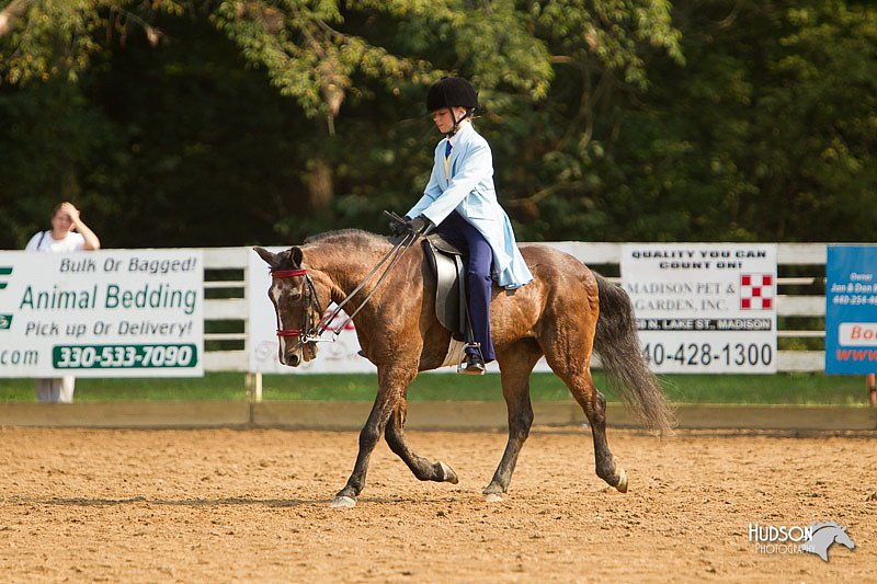 4H-Districts-11_1705.jpg