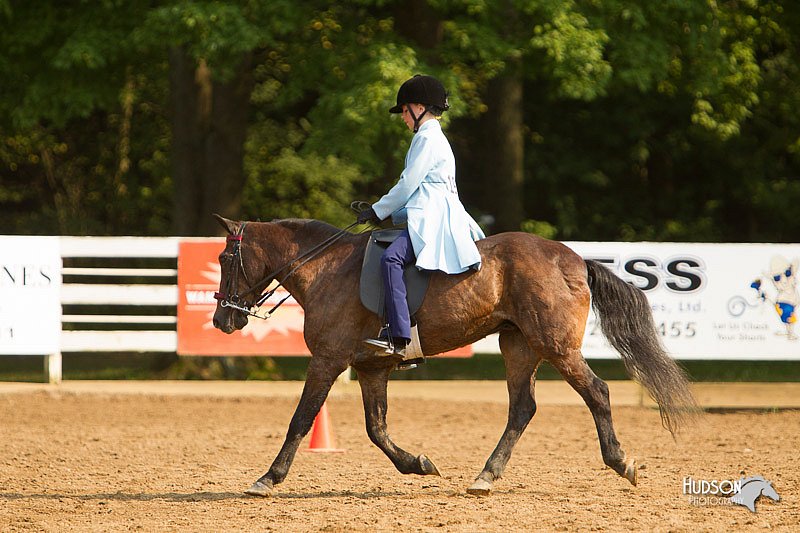 4H-Districts-11_1706.jpg