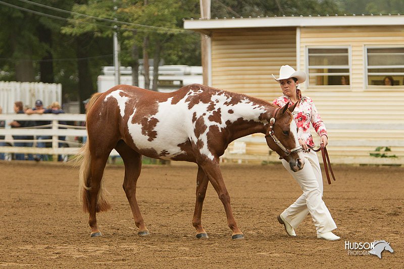 4H-Districts-11_0582.jpg