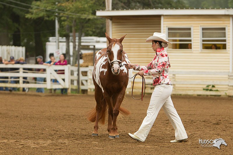 4H-Districts-11_0583.jpg