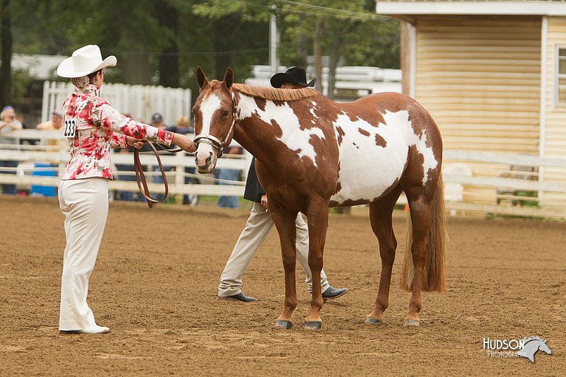 4H-Districts-11_0584.jpg