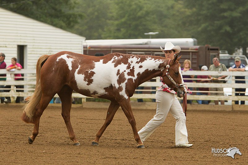 4H-Districts-11_0586.jpg