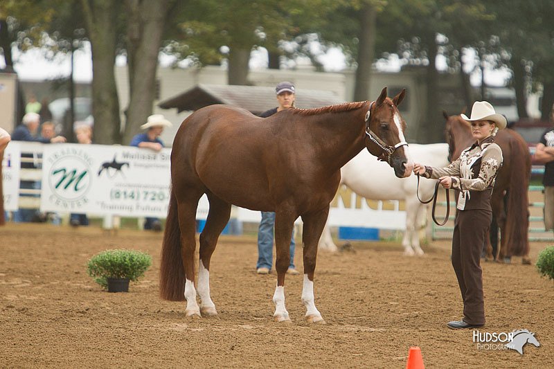 4H-Districts-11_0588.jpg