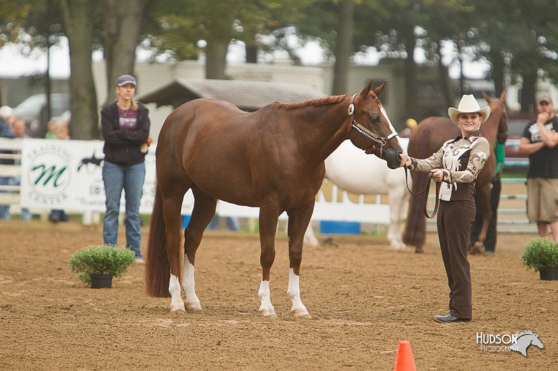 4H-Districts-11_0589.jpg