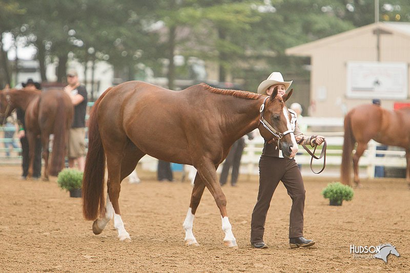 4H-Districts-11_0590.jpg