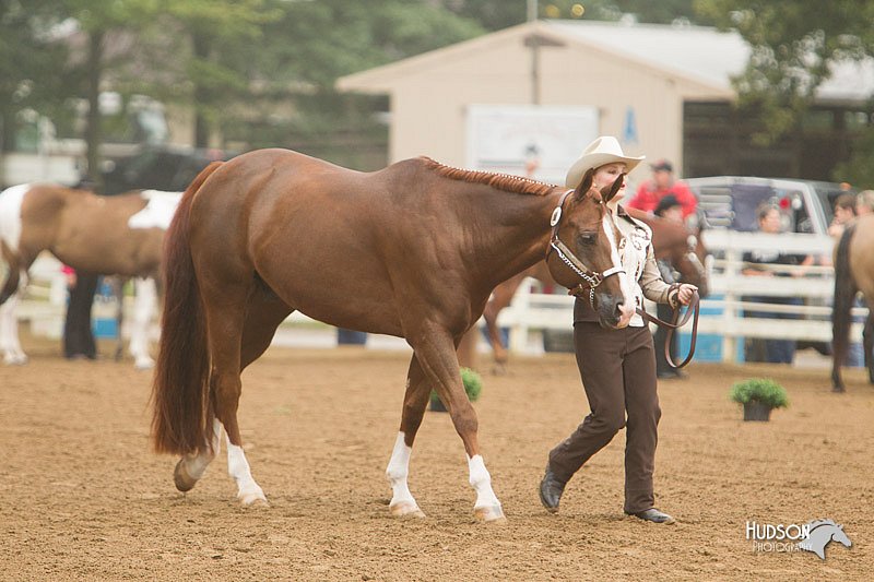 4H-Districts-11_0591.jpg