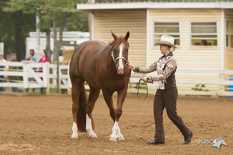 4H-Districts-11_0594.jpg