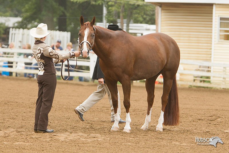 4H-Districts-11_0595.jpg