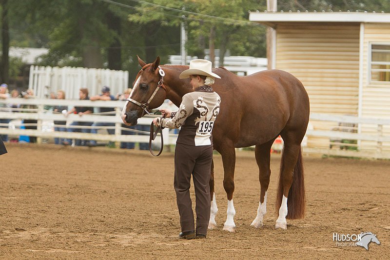 4H-Districts-11_0596.jpg