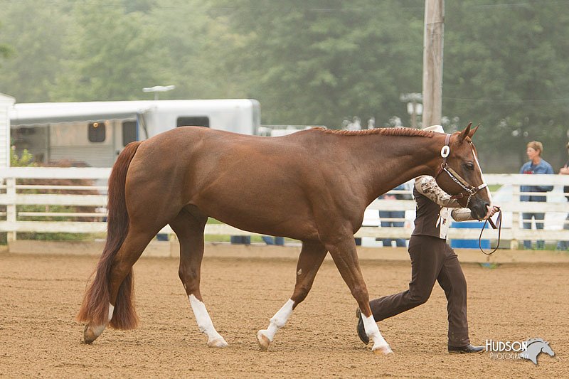 4H-Districts-11_0597.jpg