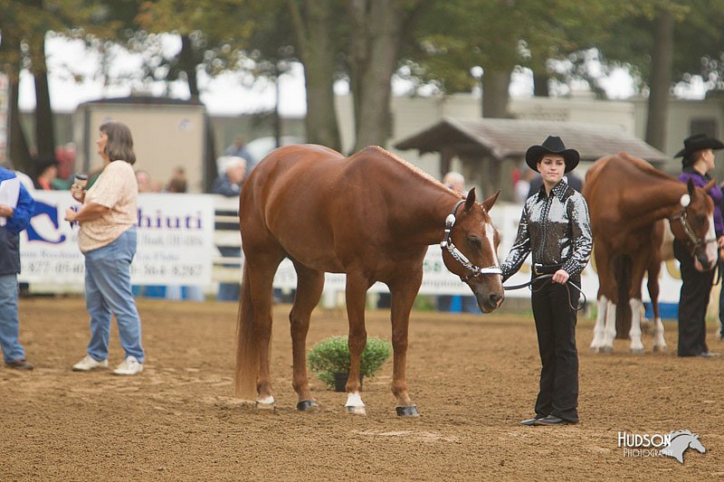 4H-Districts-11_0599.jpg