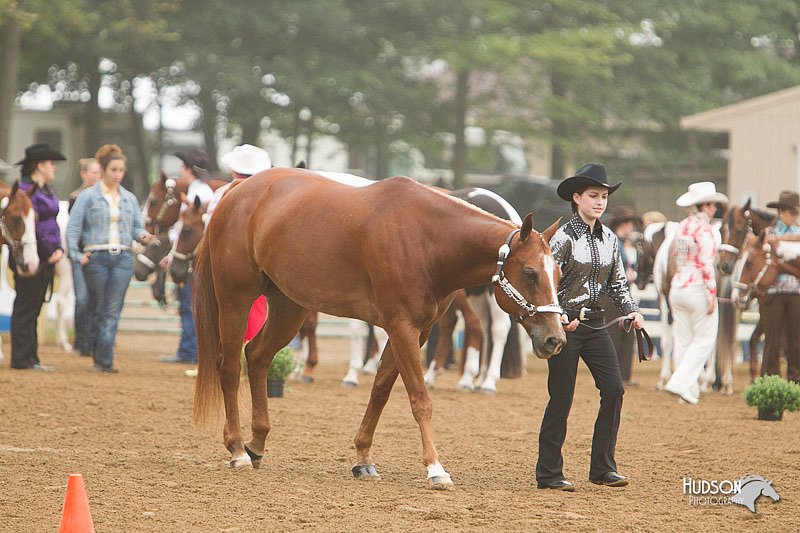 4H-Districts-11_0601.jpg
