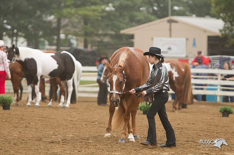 4H-Districts-11_0603.jpg