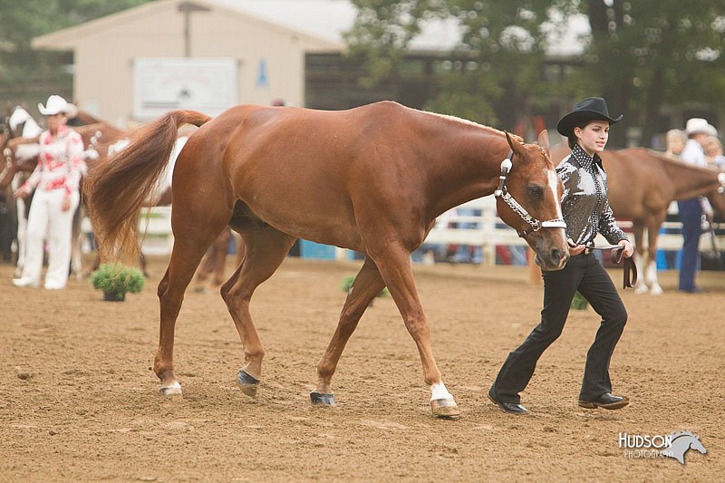 4H-Districts-11_0604.jpg