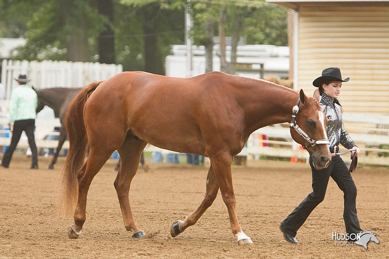 4H-Districts-11_0606.jpg