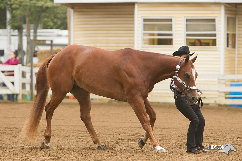 4H-Districts-11_0607.jpg