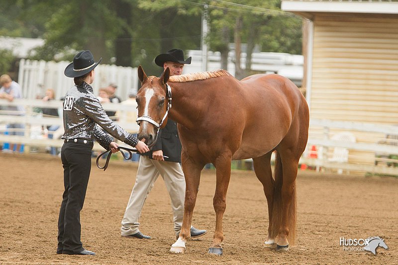 4H-Districts-11_0609.jpg