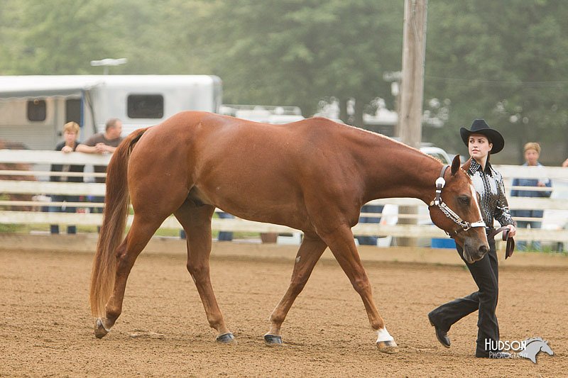 4H-Districts-11_0612.jpg