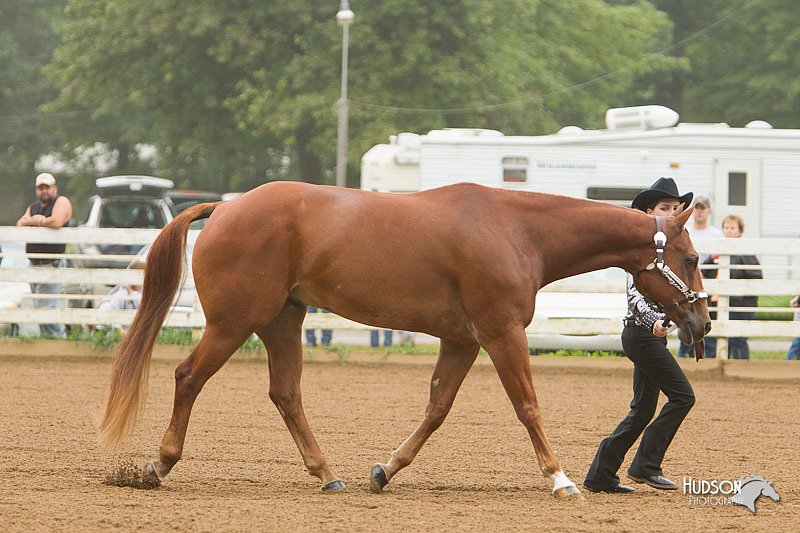 4H-Districts-11_0613.jpg