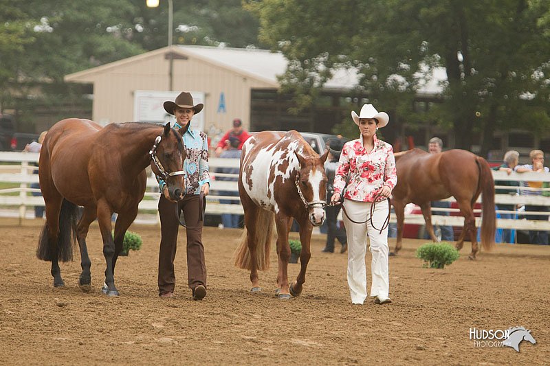 4H-Districts-11_0614.jpg