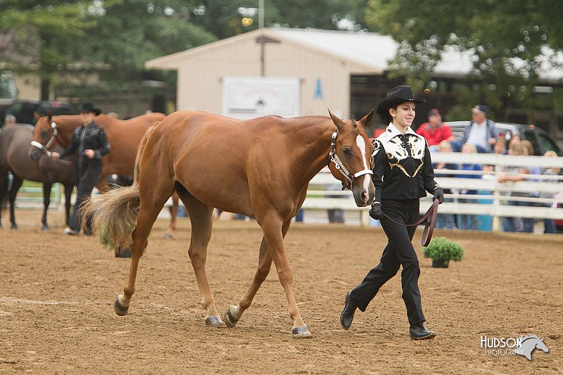 4H-Districts-11_0615.jpg